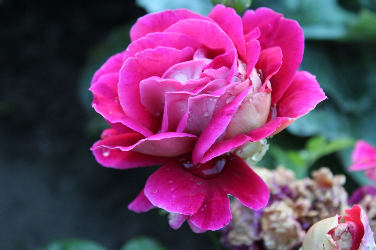 敦化最新资讯概览,最新动态一网打尽