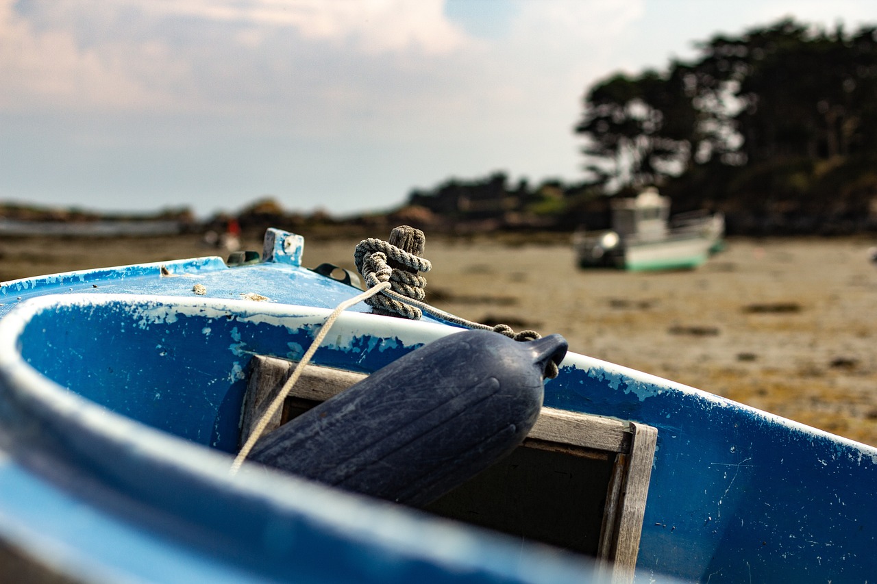 依兰疫情动态,全面应对,守护家园安全