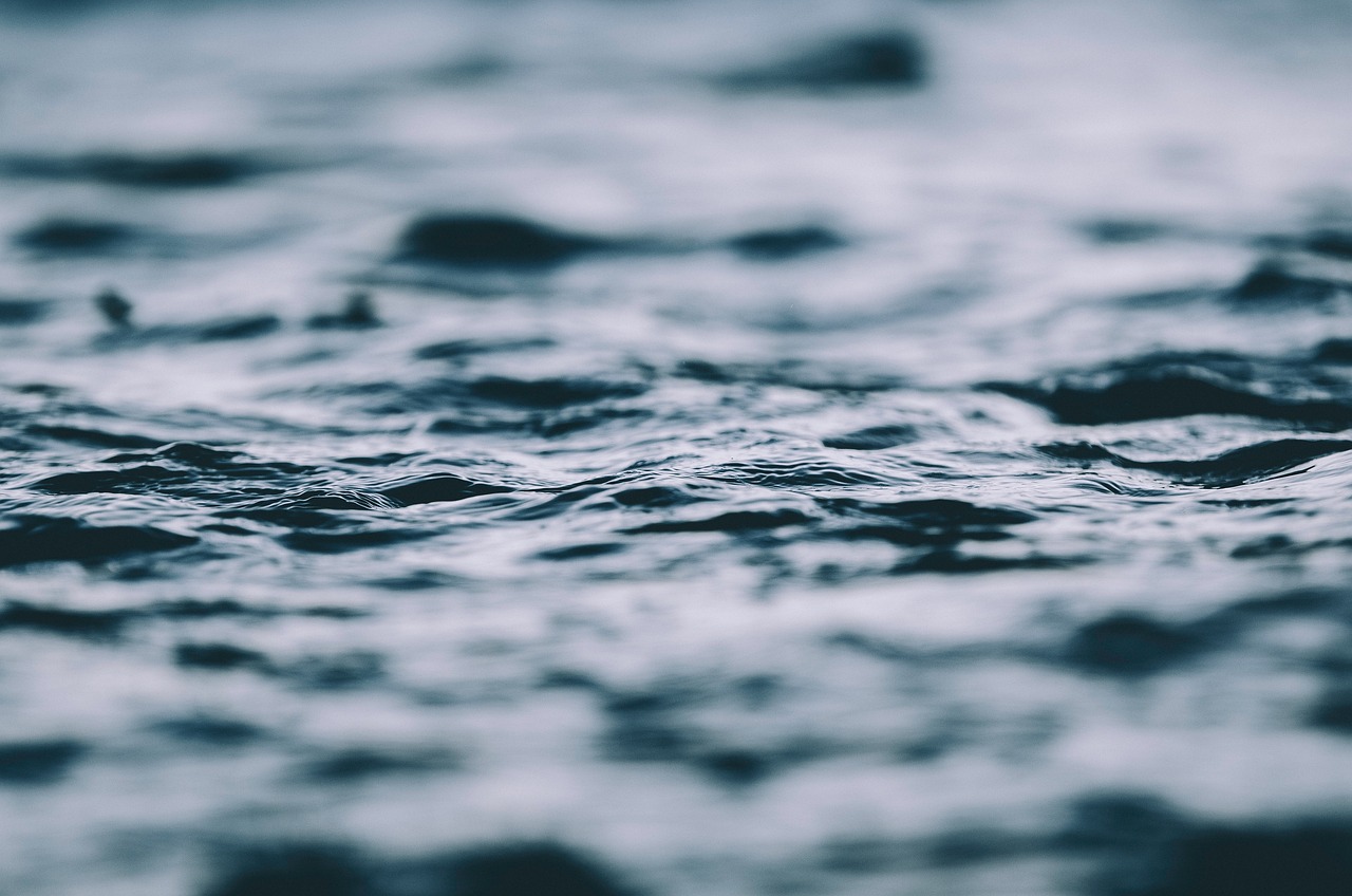 宋承宪最新动态揭秘,揭开明星生活的神秘面纱。