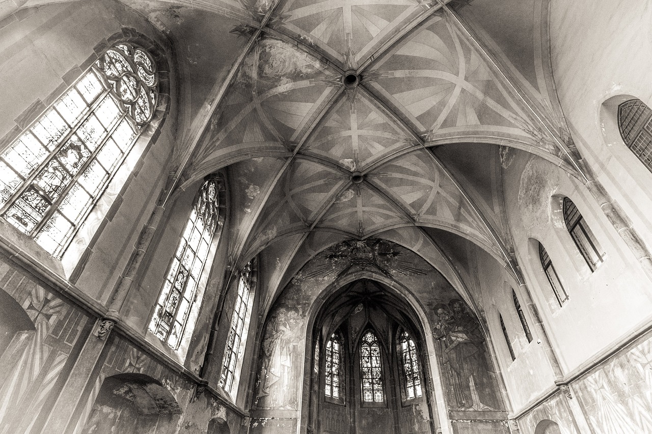 李小璐最新动态,闪耀爱心,持续传递正能量