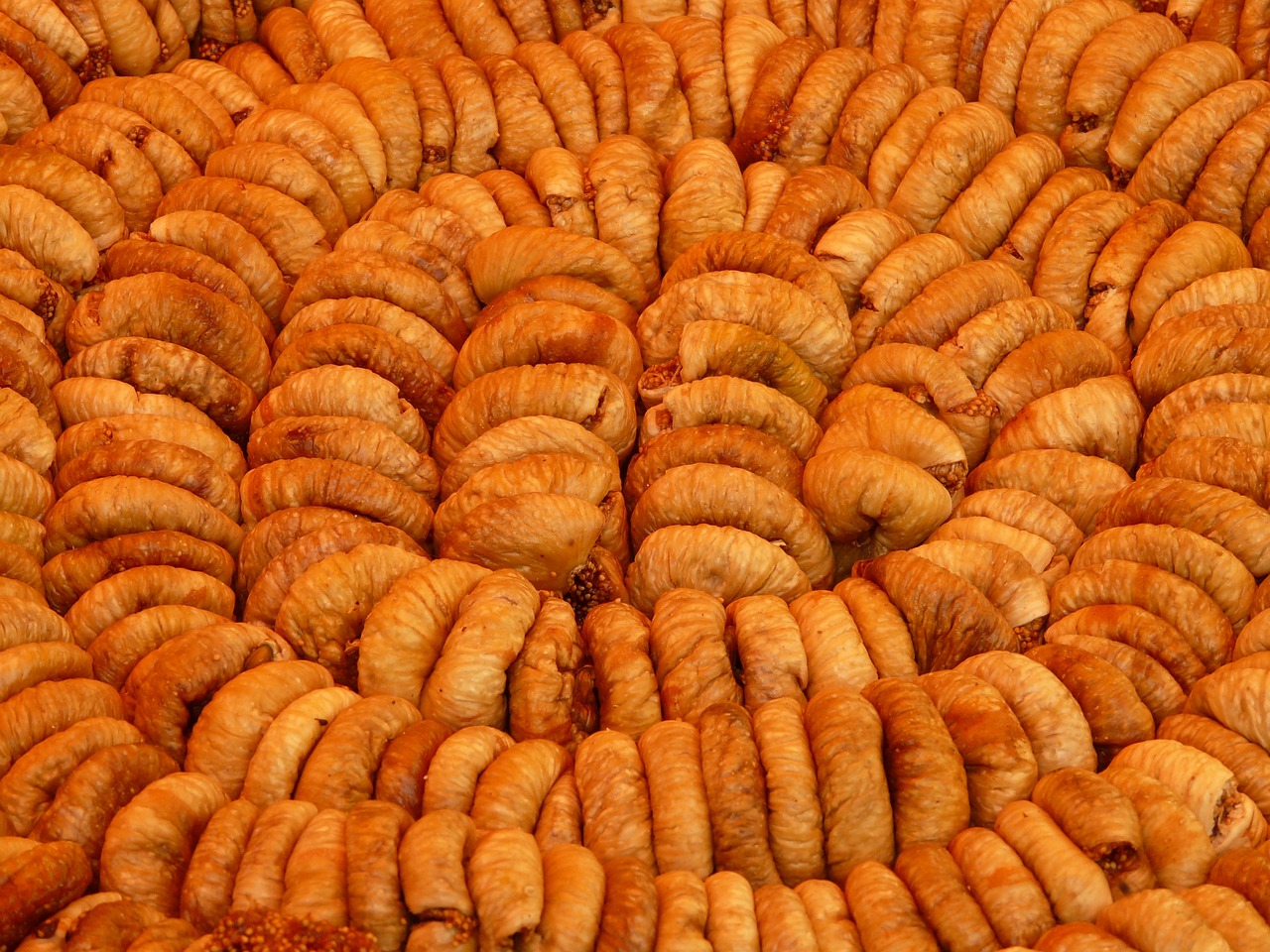 川砂仁行情深度分析,市场走势与趋势预测