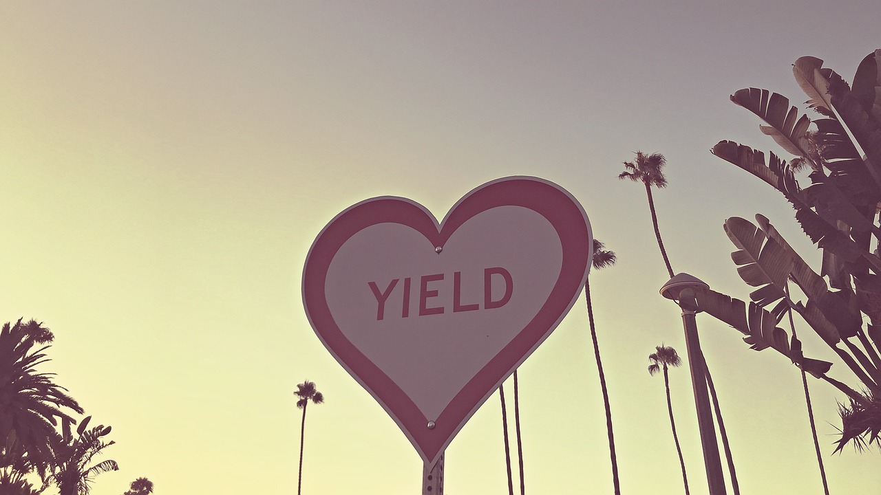 探索创意价值,IDEA与价格的交融之美