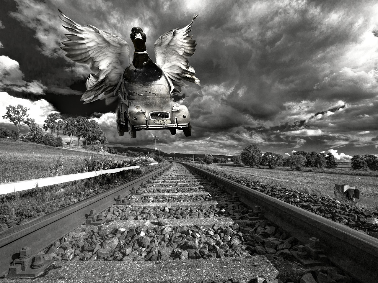 国外经典电影,视觉盛宴与传世之作