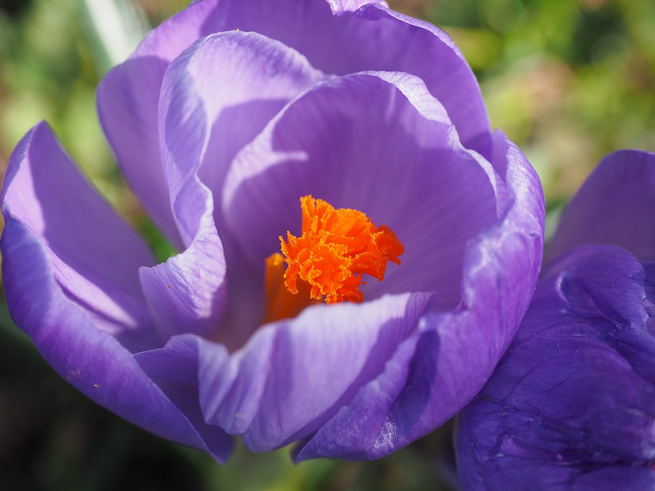 汉阳滨江最新发展动态概览