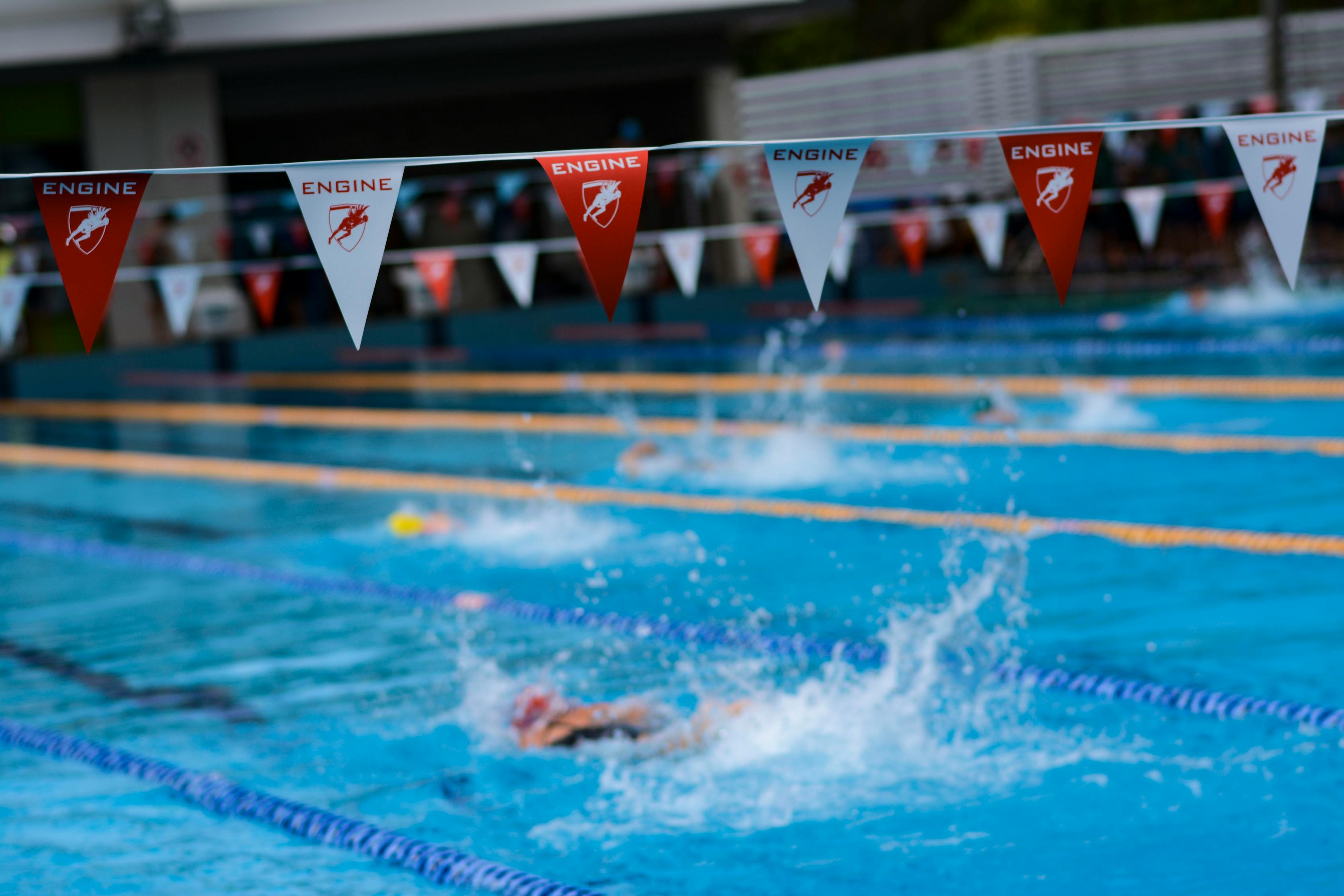 男篮红队与蓝队,赛场上的热血对决之战