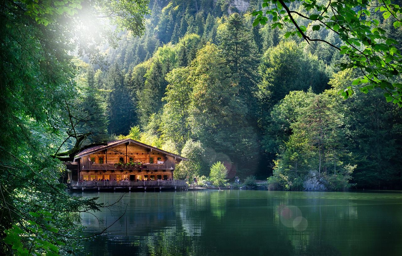 渭南最新资讯概览,时事动态一网打尽