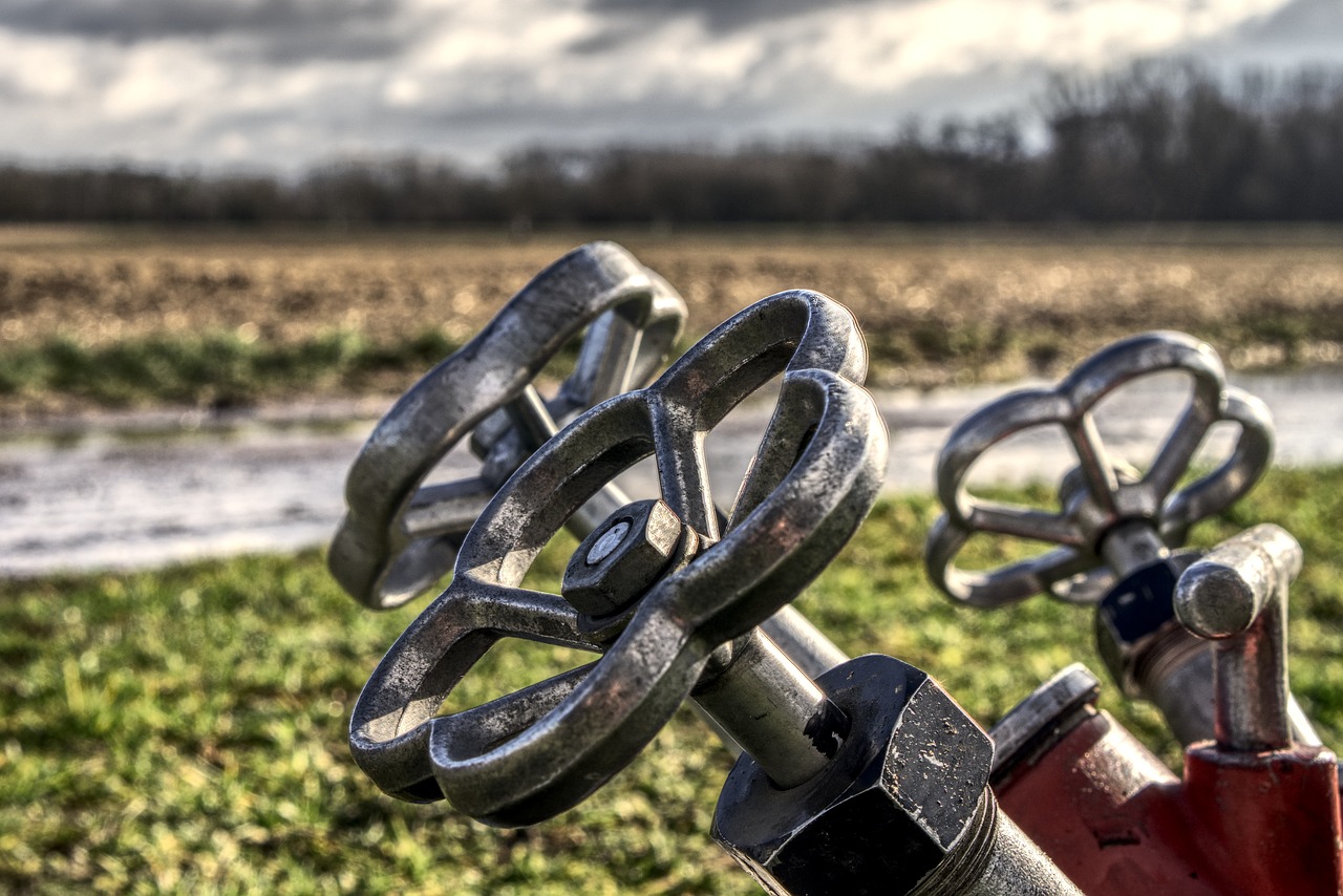 虞城县乔集乡最新动态更新,乔集乡发展概况与最新进展