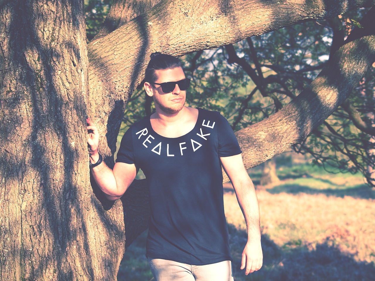 两字男明星的魅力与影响力探究