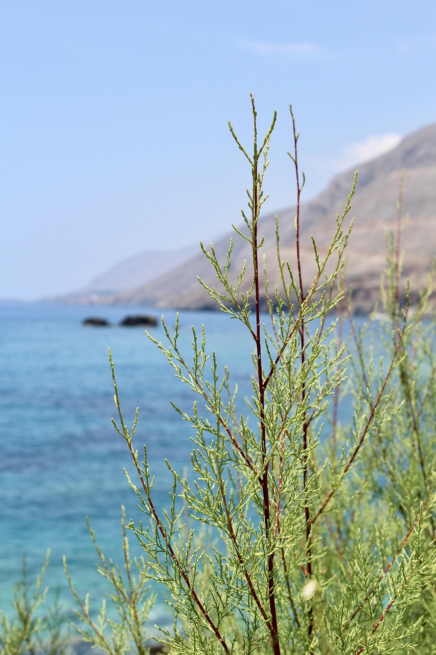 剪英海最新动态及未来展望