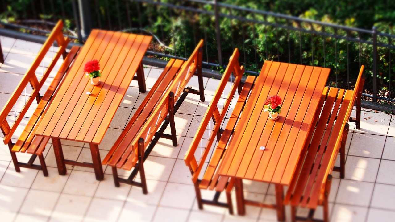 桐柏最新资讯概览,时事动态一网打尽