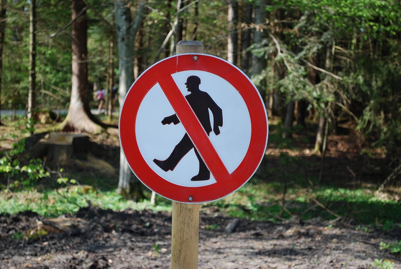 章丘最新交通限速措施,提升道路安全,优化交通环境