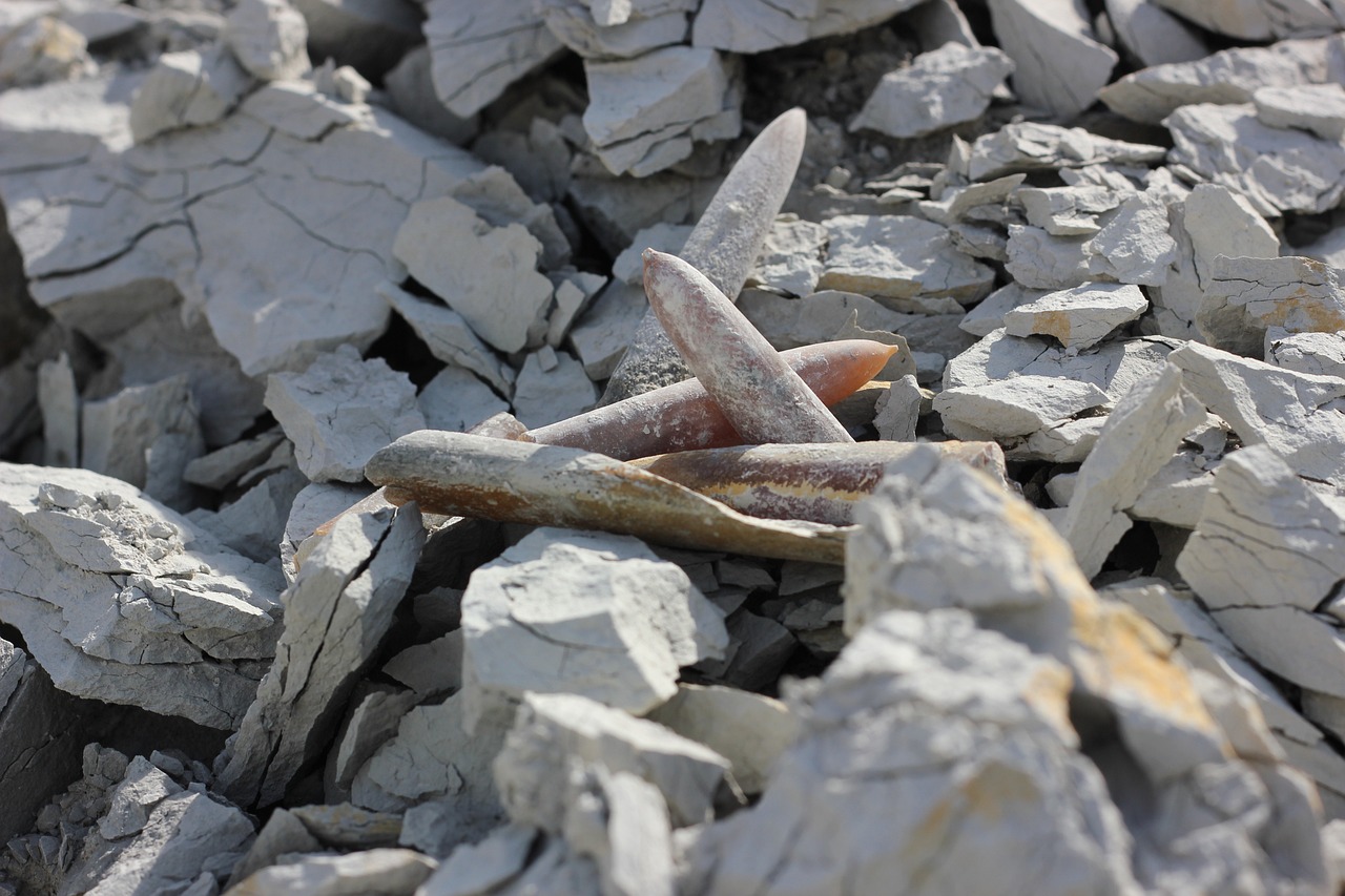 骨髓里的爱 第20页