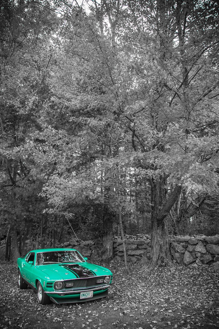 许敏最新动态,展现新时代风采,持续奋进之路不停歇