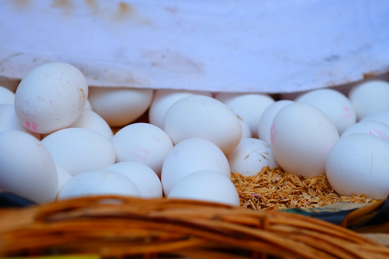 今日尿素价格动态分析与趋势预测