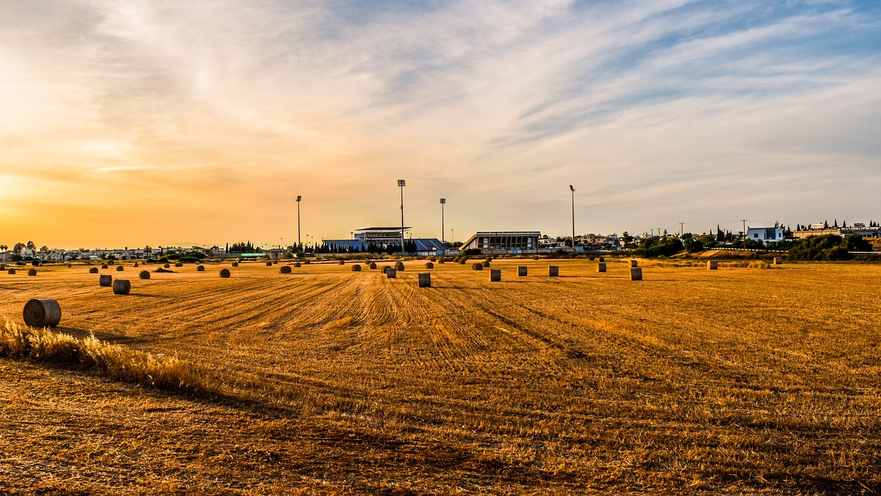 革新农业生产力与效率的关键,最新采摘架应用介绍