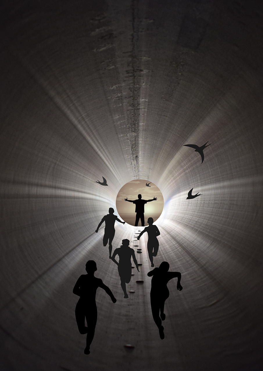 洛阳钼业股票行情分析与查询最新动态