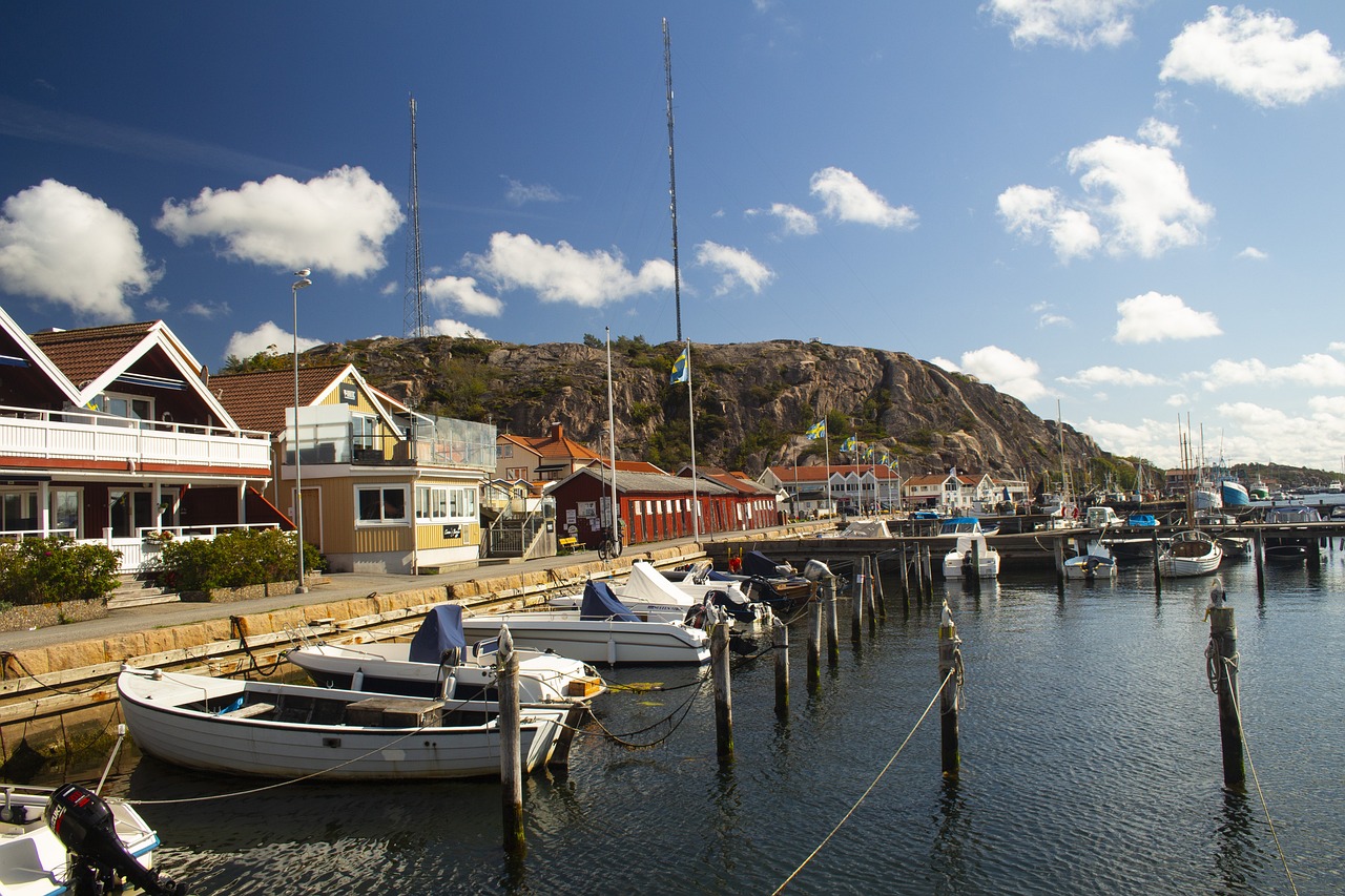 新平新闻速递,县域发展新动态深度探寻