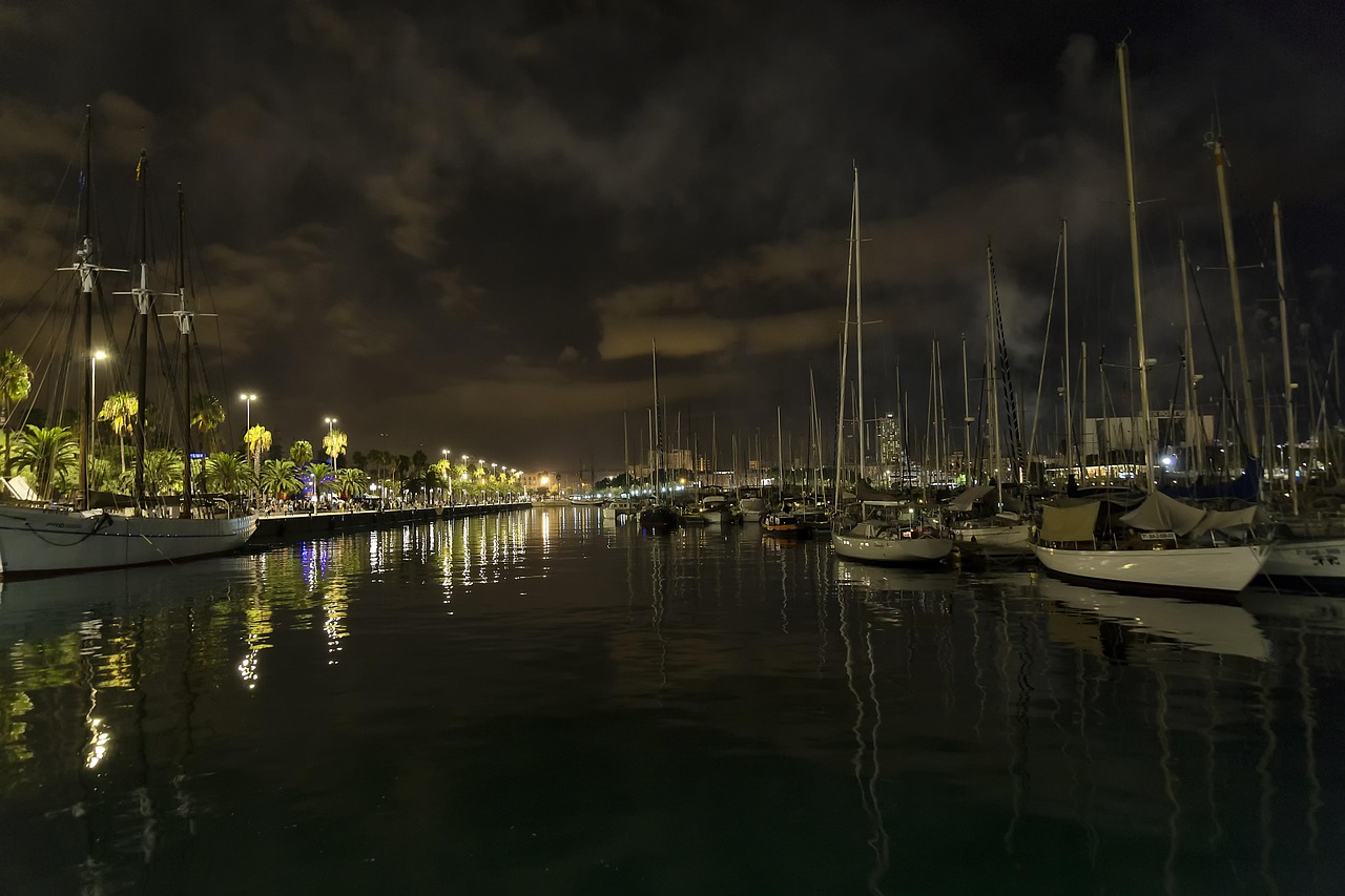 张溪芸最新动态,照亮娱乐圈的新篇章,光芒四射引人注目