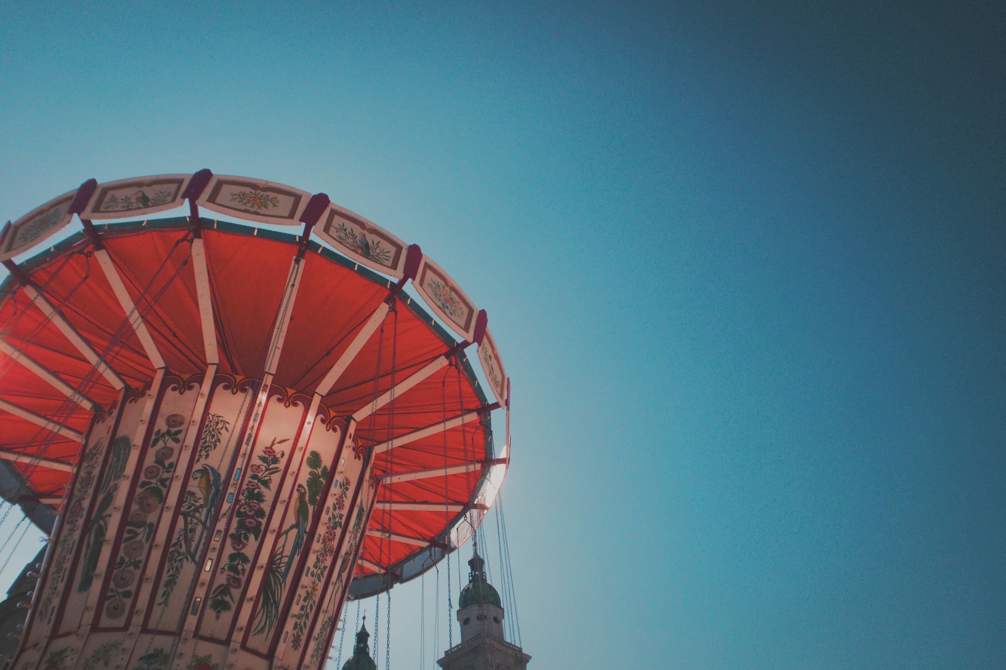 中牟蒜苔最新价格动态与市场分析概览