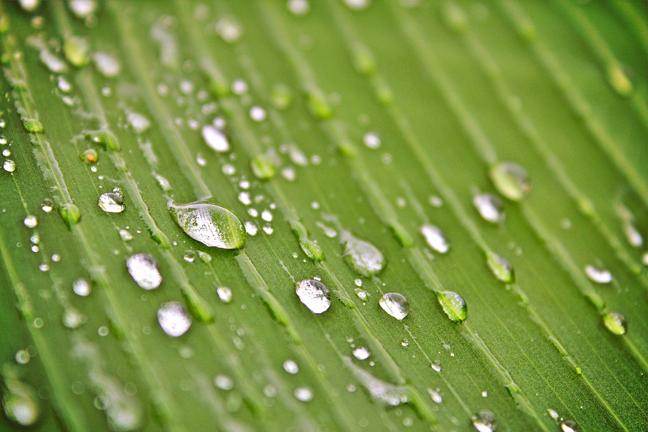 河间资讯速递,掌握最新动态,洞悉城市发展。