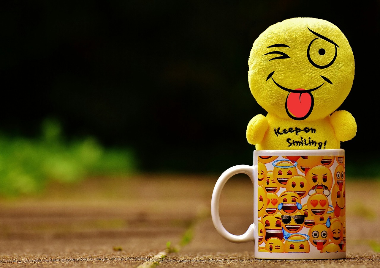 探索动漫中的笑容与情感表达,笑脸动漫的世界之旅