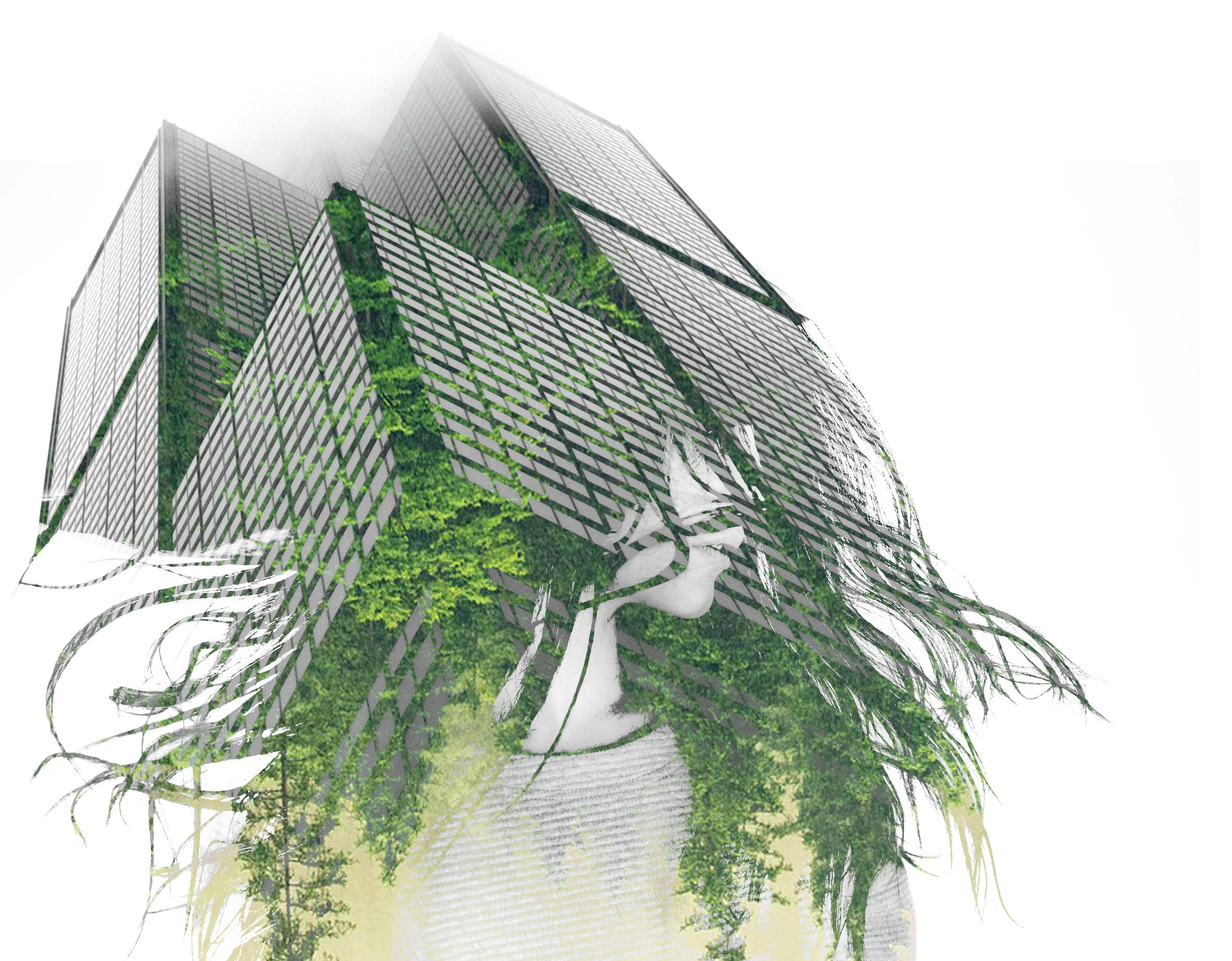 郫县望丛祠规划更新,重塑历史文化的现代魅力