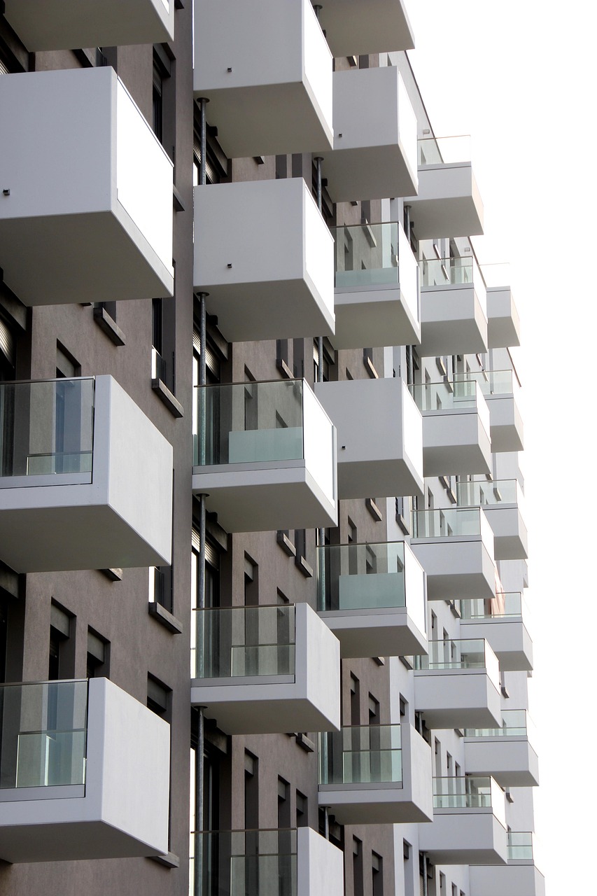 2025年1月 第17页