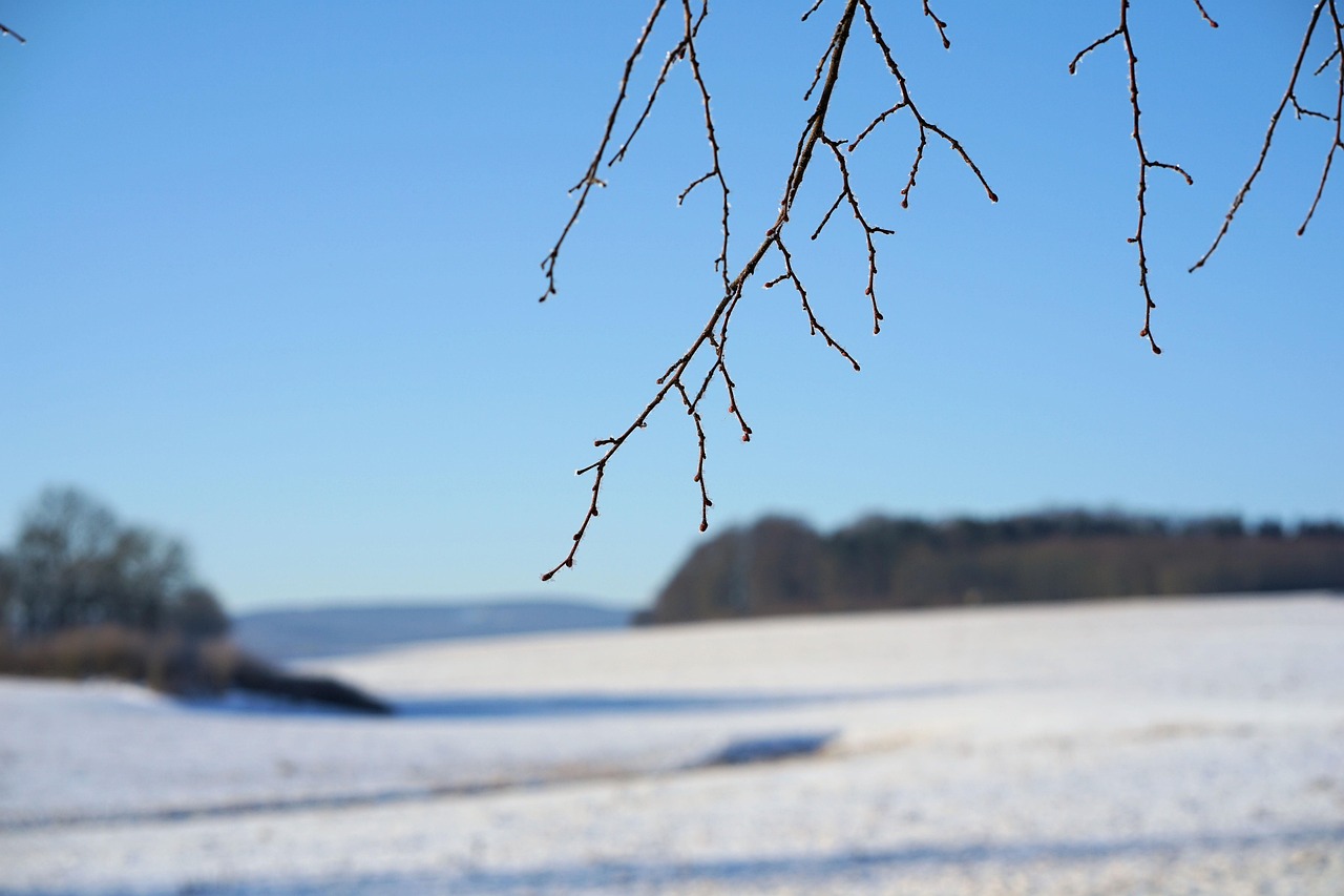 朱古力最新地址全解析及最新动态速递