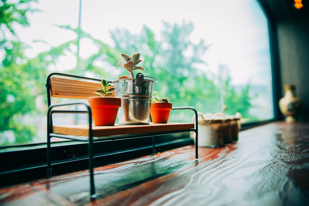 职业龙舟比赛的魅力与挑战探索之旅