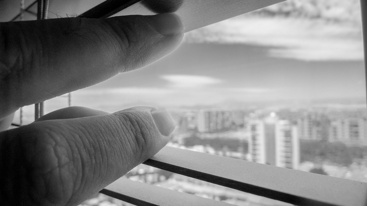 沛县楼盘价格最新动态及市场趋势与影响因素分析