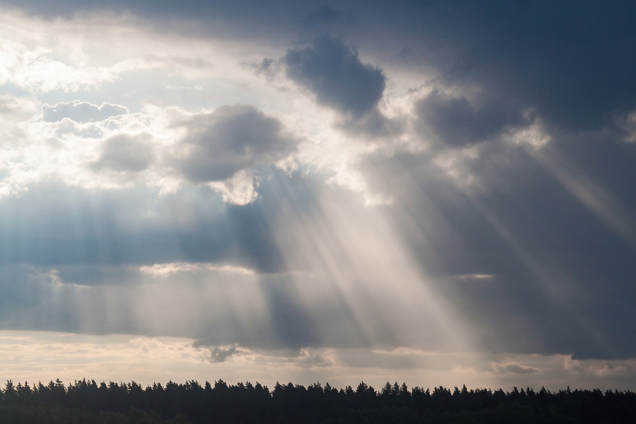 草根明星的逆袭之路与闪耀光芒