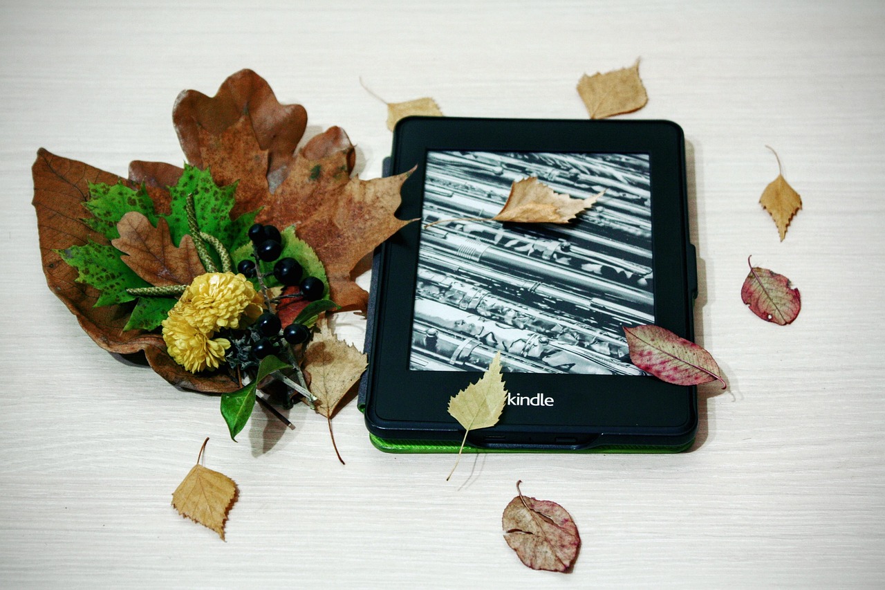 Kindle新款重新定义阅读体验,革新阅读方式,引领数字阅读新潮流