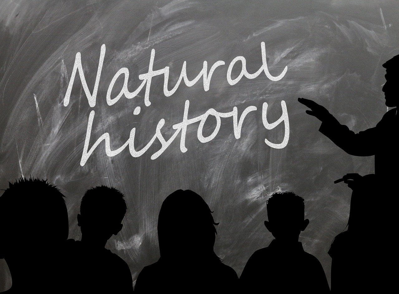 紫妖冷月 第16页