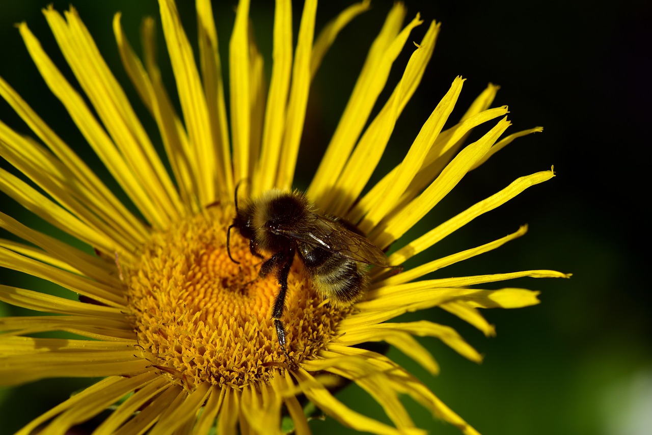 邵阳县五丰铺最新资讯概览,最新动态一网打尽