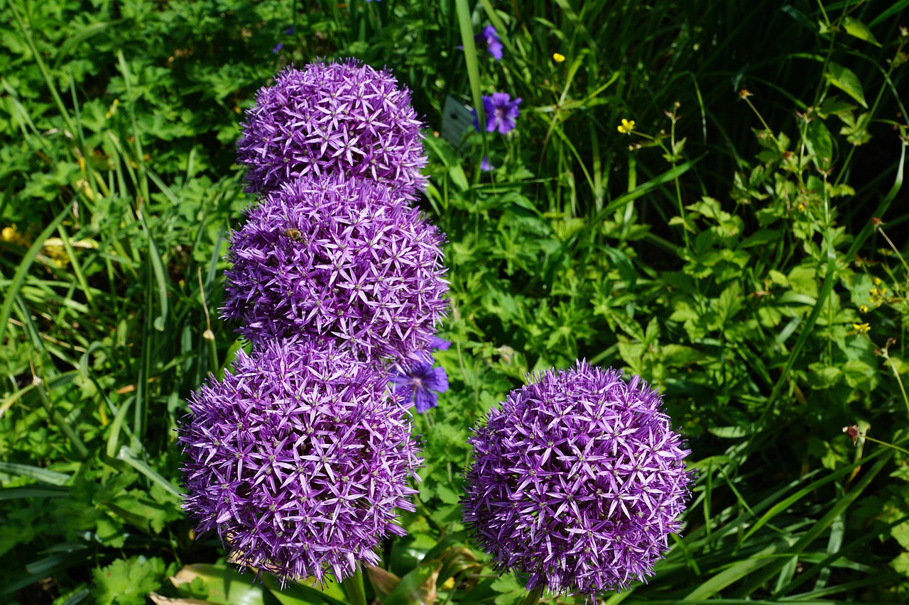 东方园林引领行业创新,塑造绿色未来,最新消息揭秘发展动态