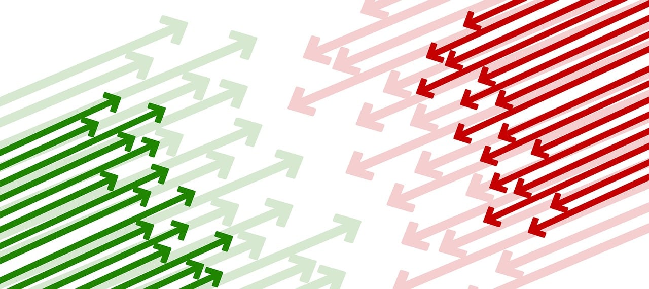 山药最新行情分析与趋势预测