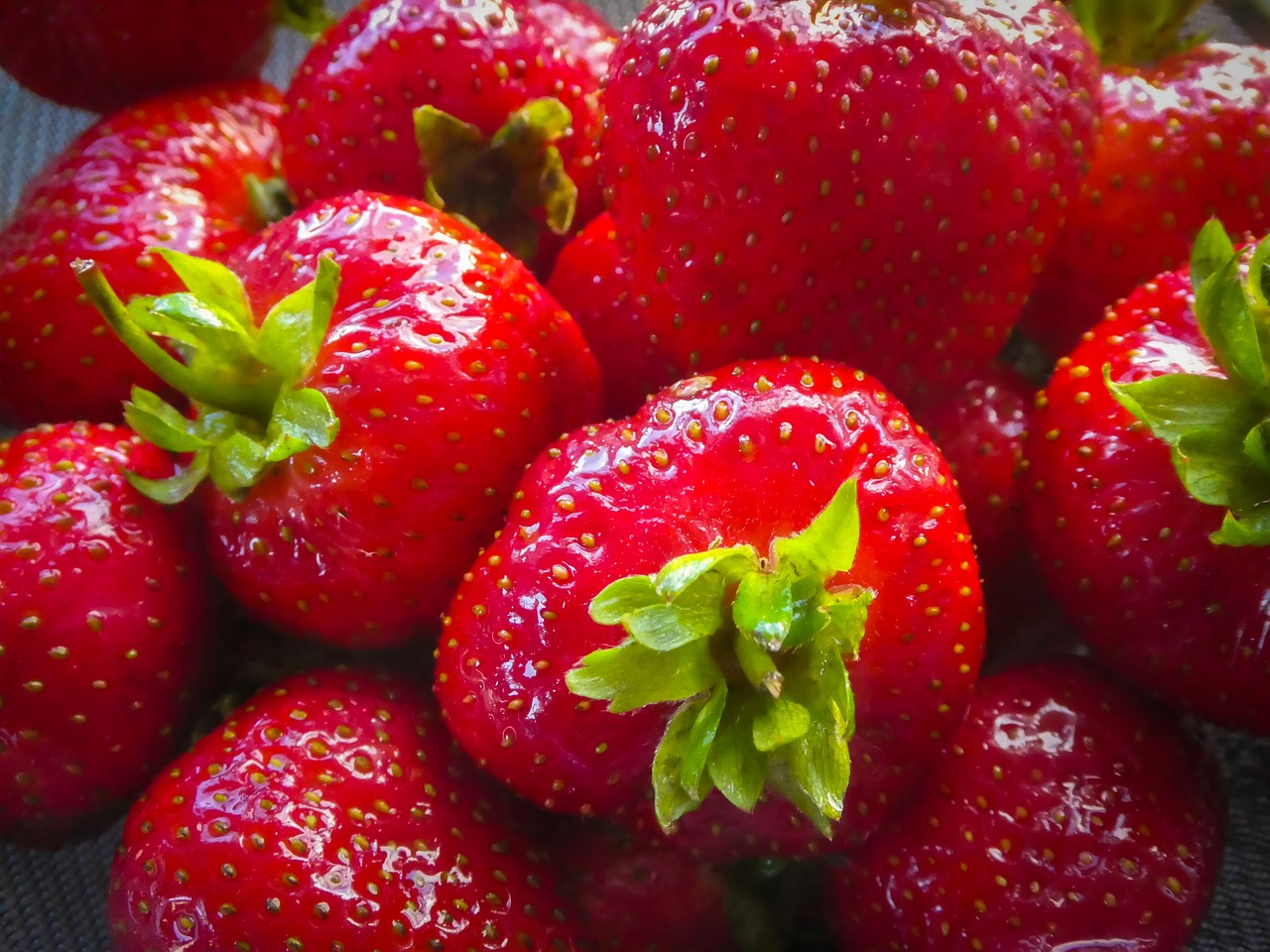 动漫草莓,色彩与梦想的绚烂交织