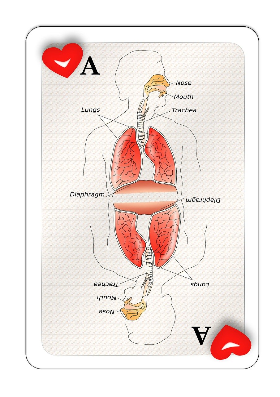 贵州肺部健康资讯,了解、关注与守护肺部健康