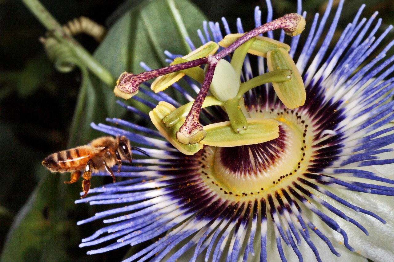 北部时光最新动态,探索未来,蓄势待发