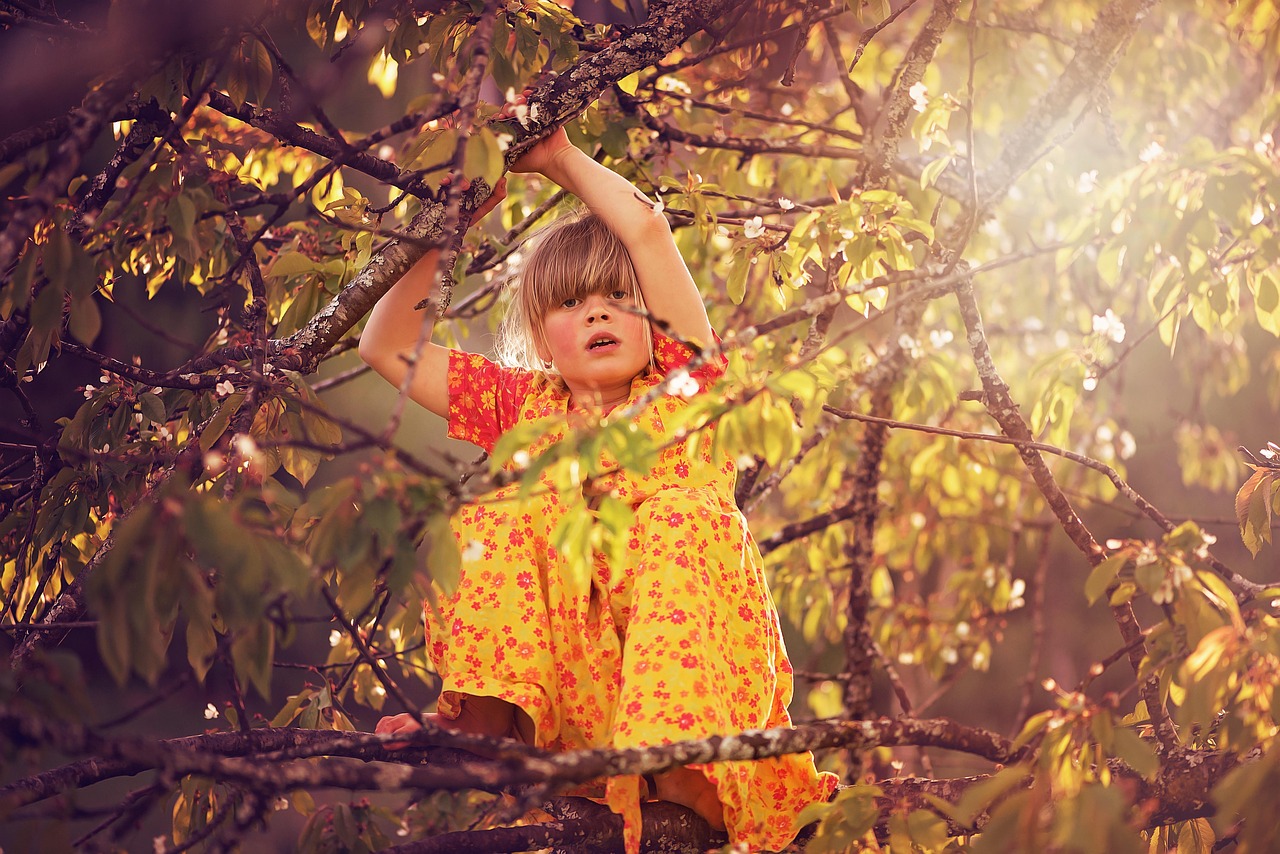 时光任你轻薄 第15页