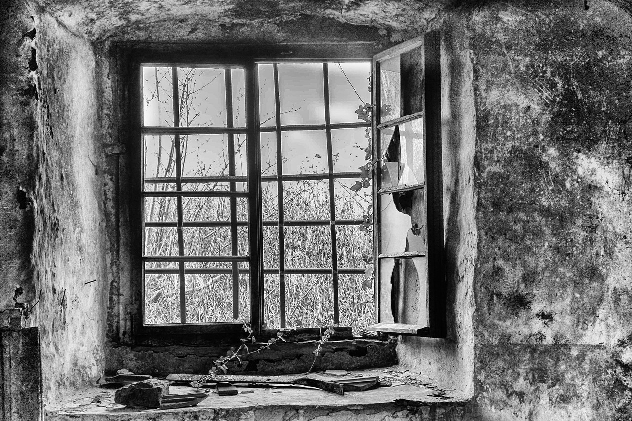 全球疫情最新动态,现状与未来展望