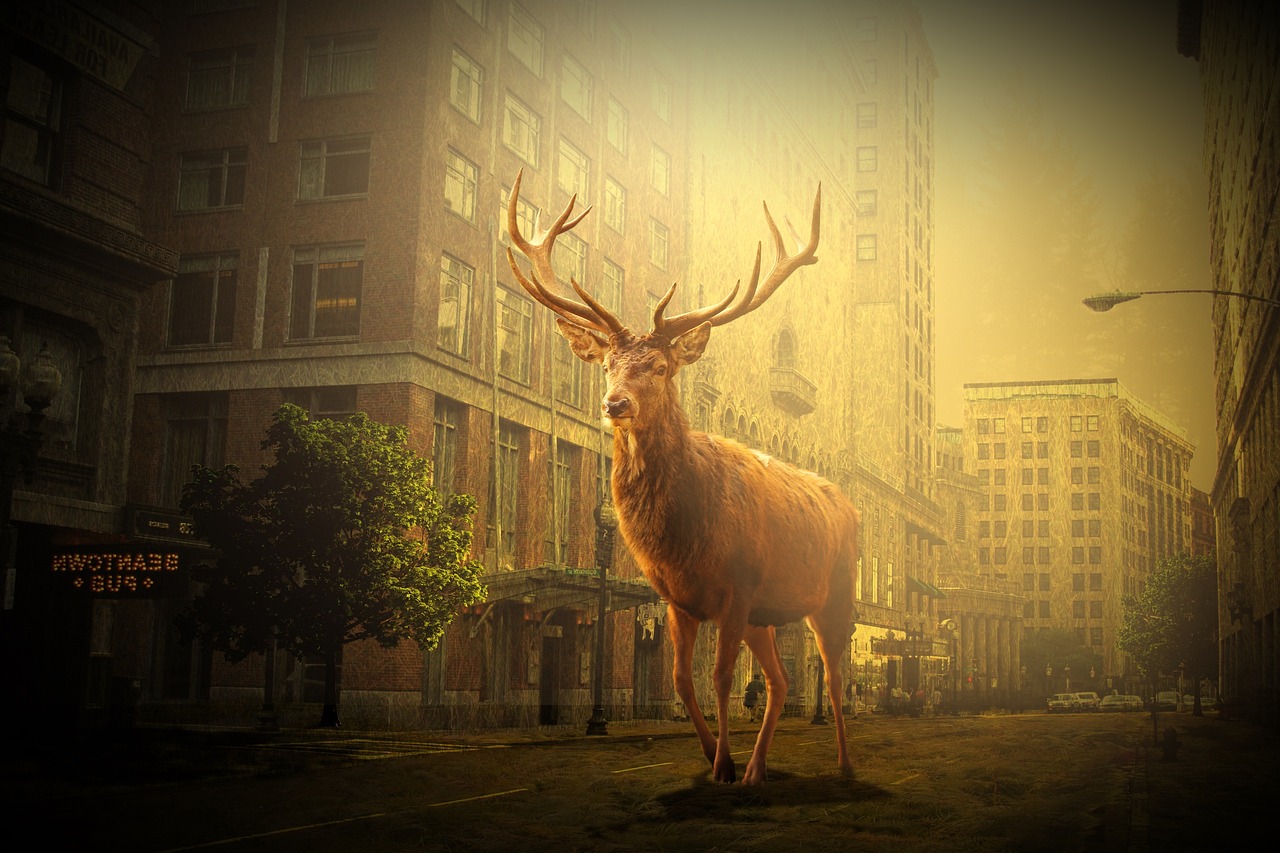 学民违记最新动态揭秘,探究背后的变化与发展趋势