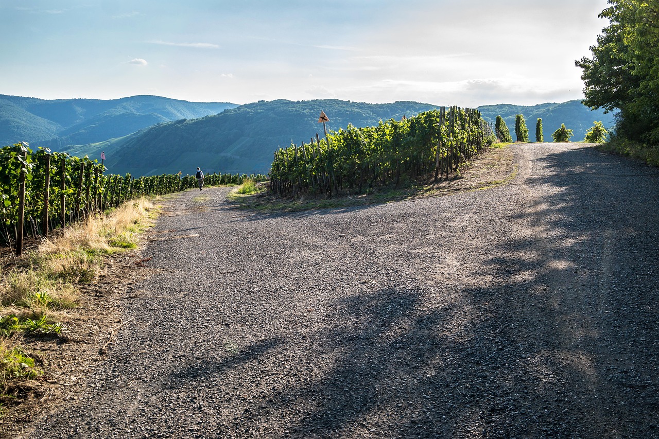 学民违记最新动态揭秘，探究背后的变化与发展趋势