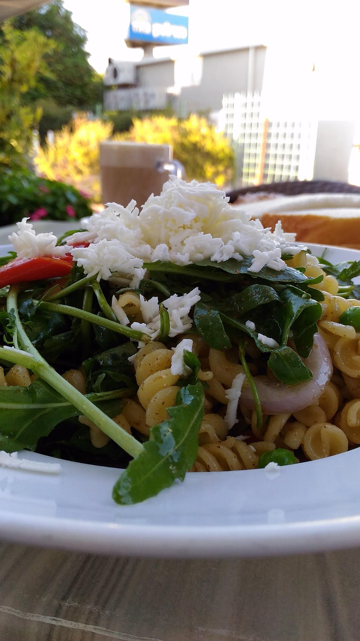 最新传菜动态引领餐饮体验与服务质量的重塑趋势