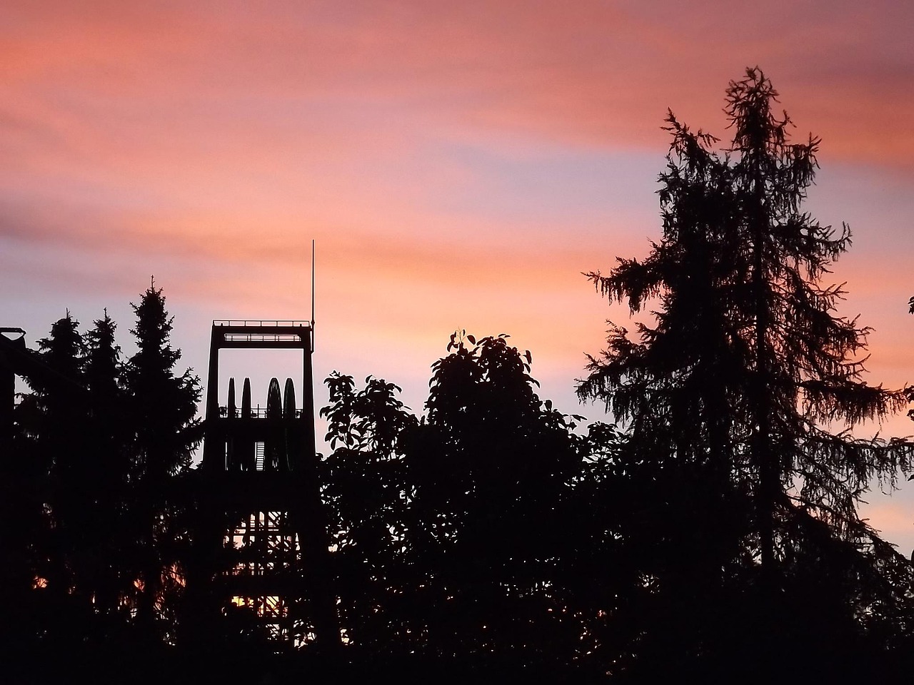 洪泽论坛最新资讯聚焦时事热点与行业动态解读