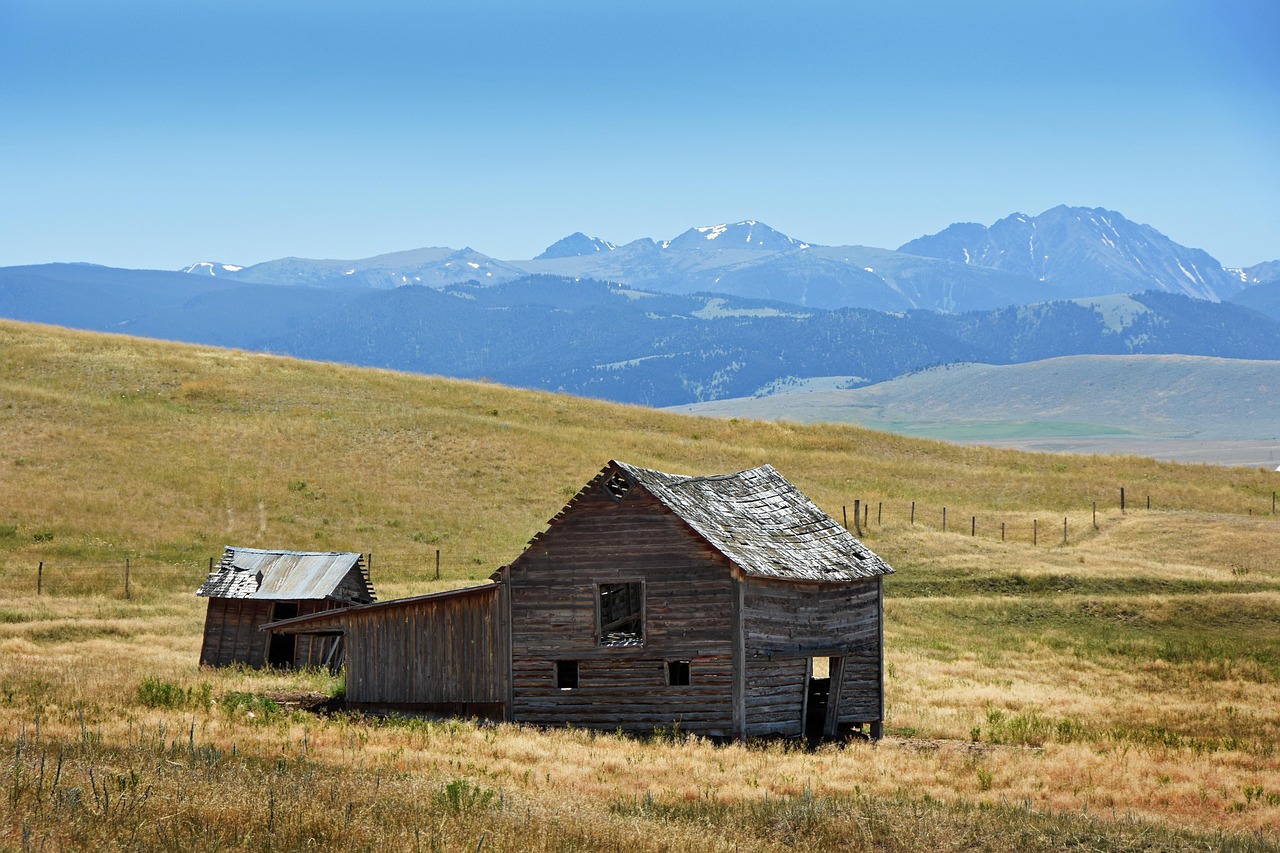古蔺马蹄乡发展与创新齐头并进,最新动态报告出炉!