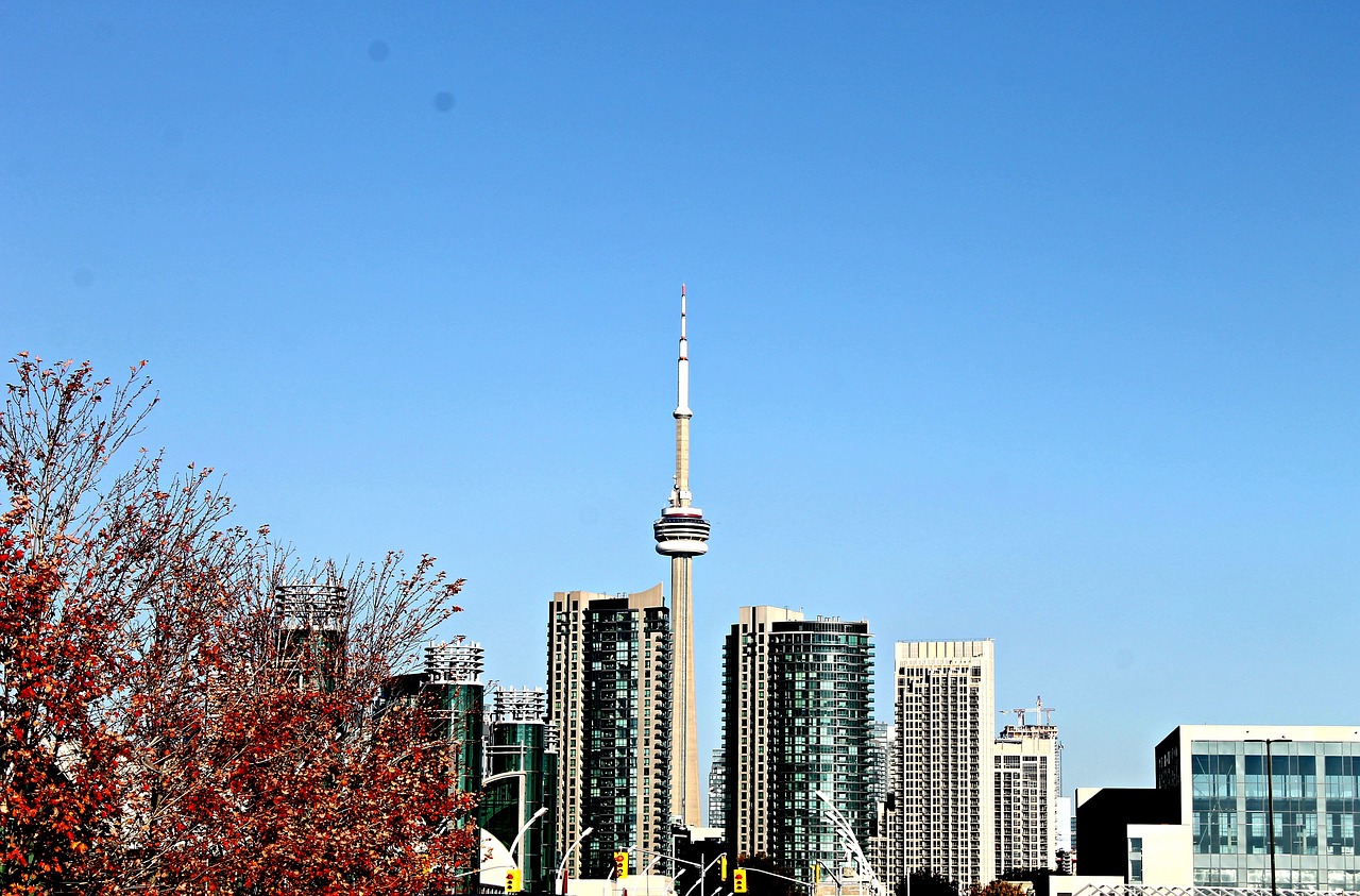 遗忘的小时光 第17页