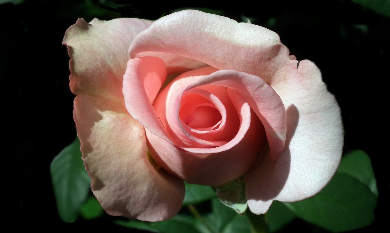 紫色偶然 第18页