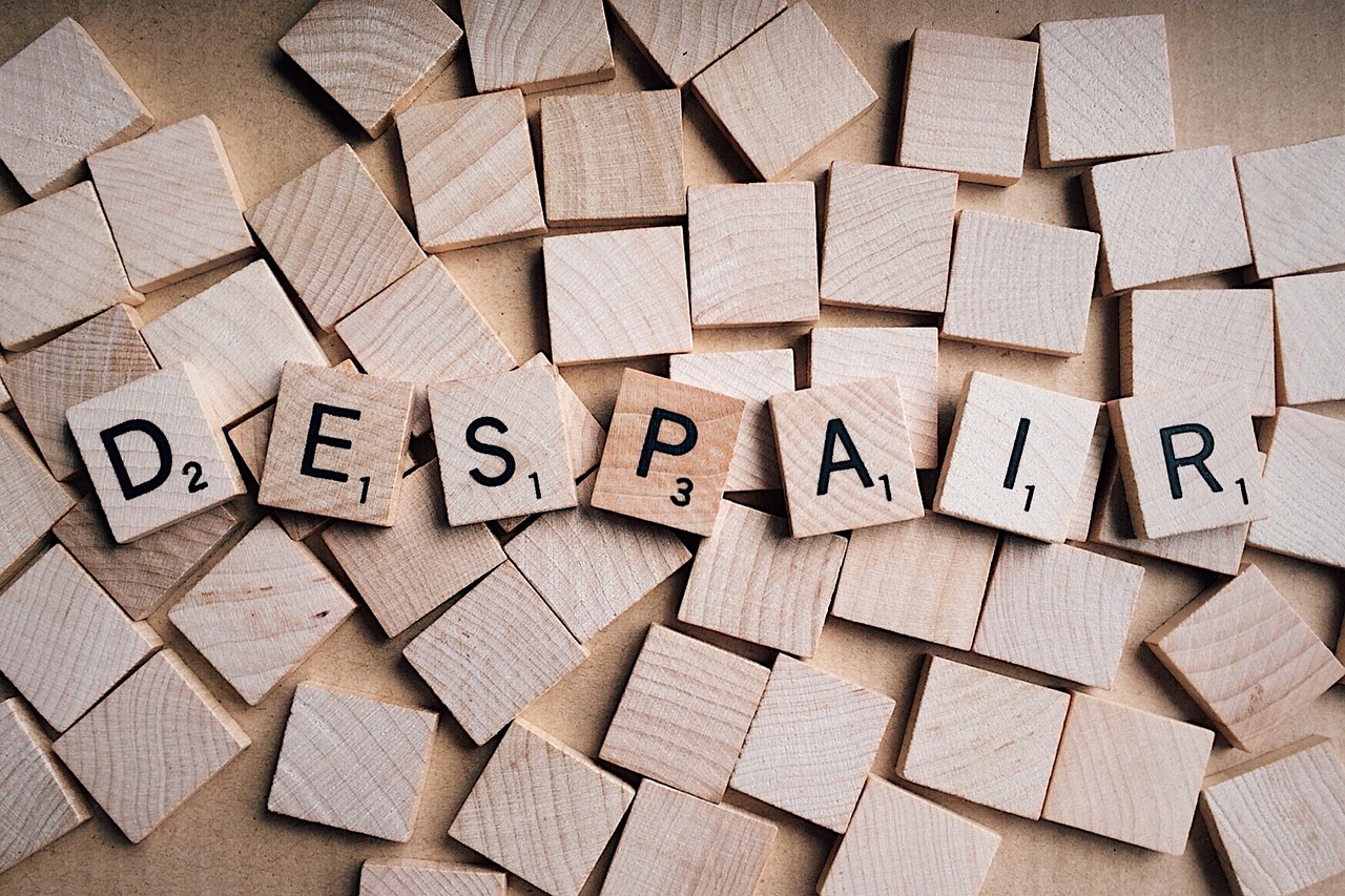 关注与应对，最新疫情动态不容错过