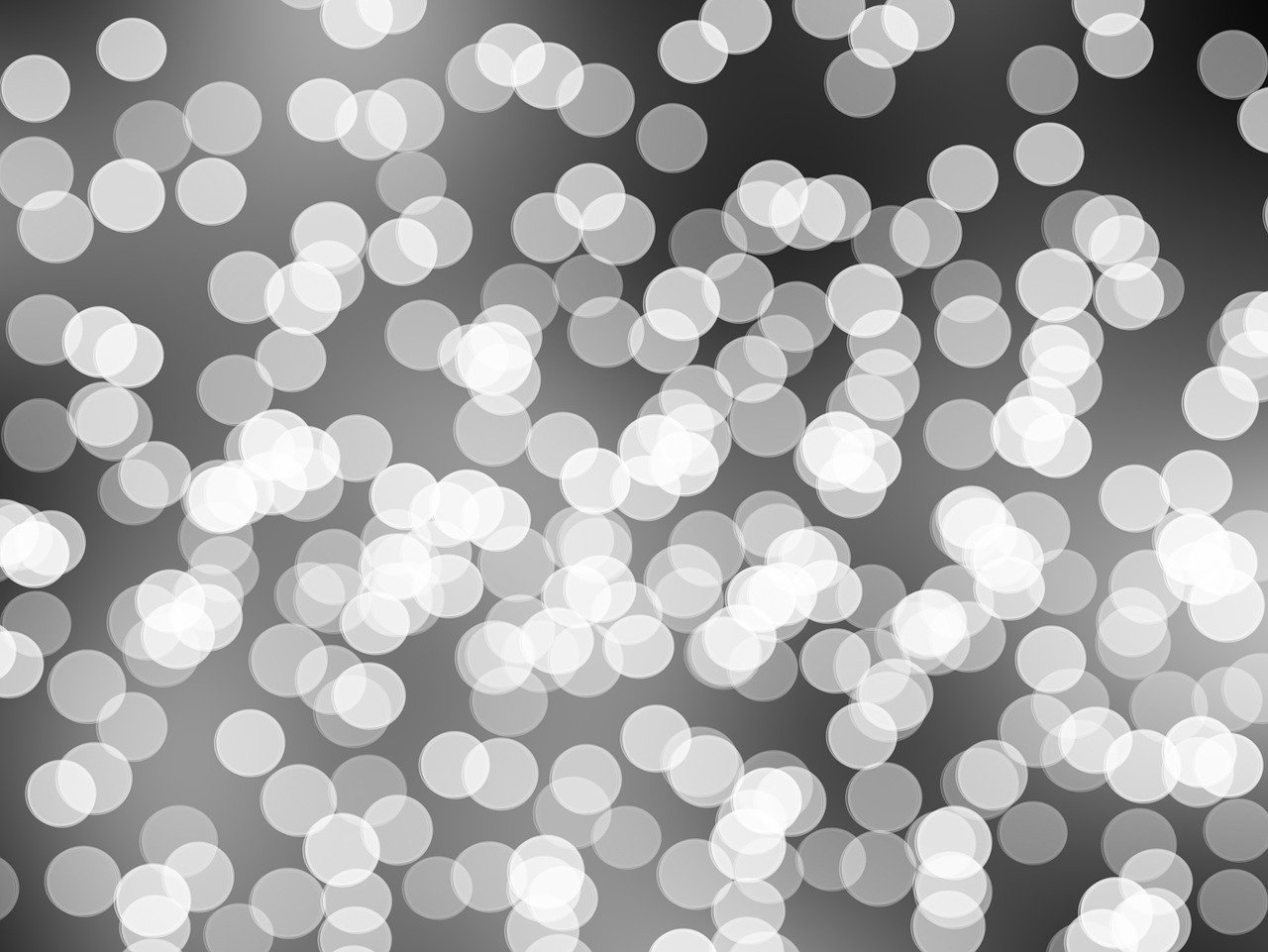 陈羽凡与白百何的最新动态,音乐与演艺界的持续闪耀之旅